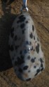 Jaspis dalmatin - přívěšek 