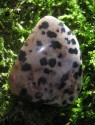 Jaspis dalmatin - omletý kámen 