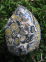 Jaspis leopardí - omletý kámen 