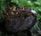 Bronzit - omletý kámen 