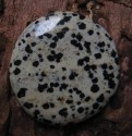 Jaspis dalmatin - hmatka 