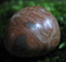 Kalkcholit - omletý kámen 