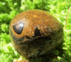Stromatolit - valoun 